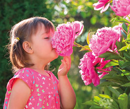 fleurs pour les ecoles